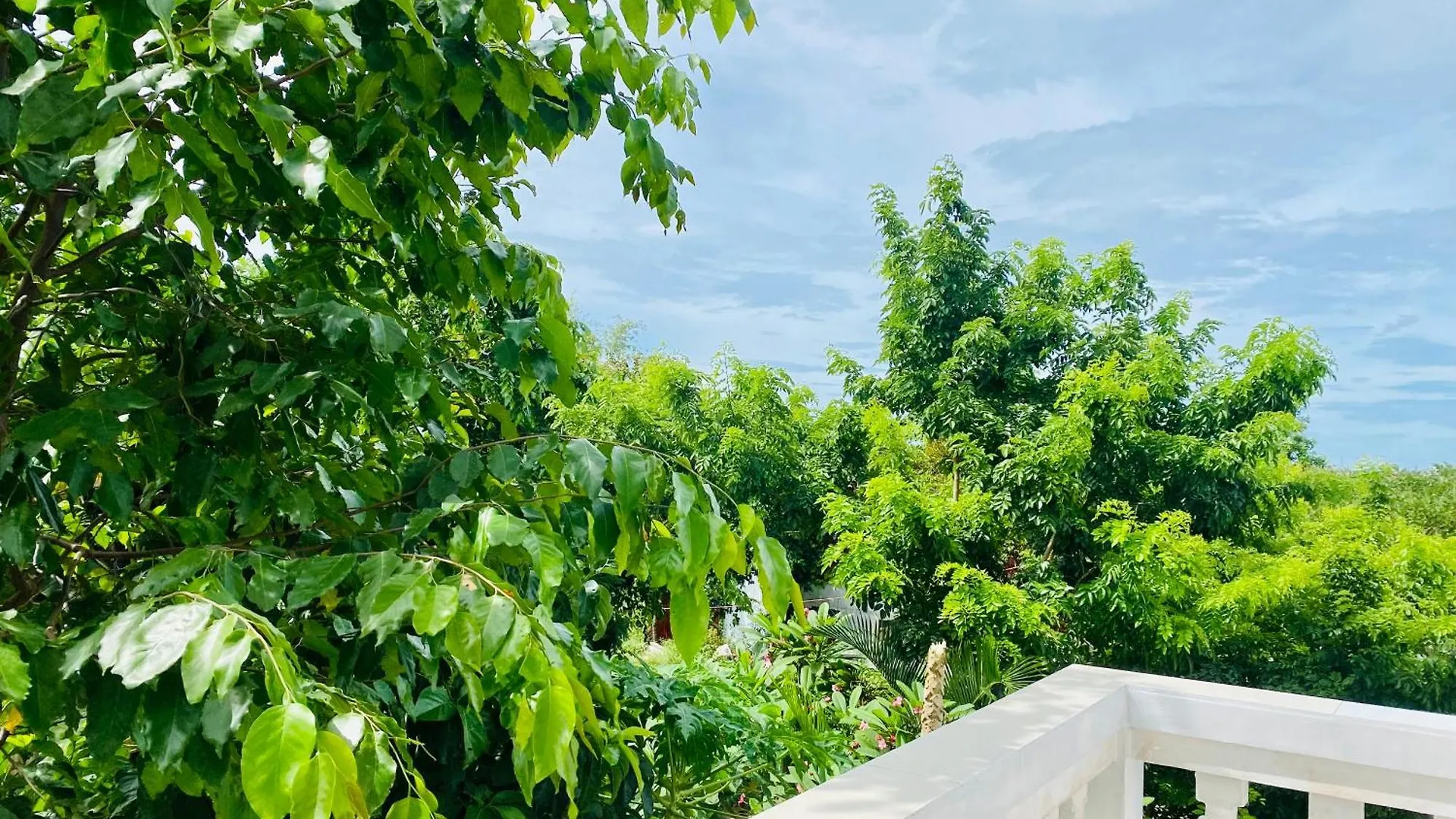 Rice River Villa - Hoi An 3*,