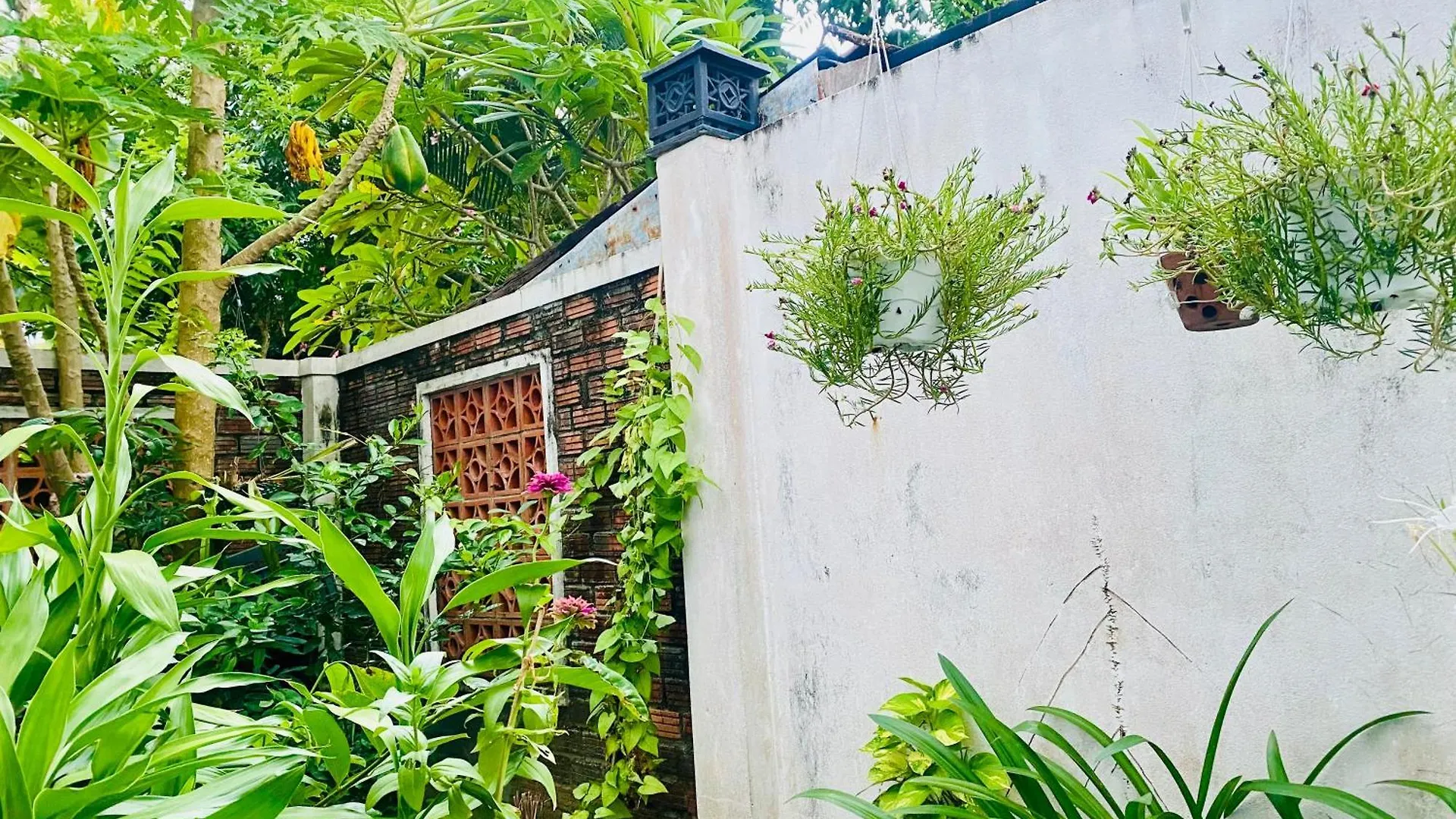 Rice River Villa - Hoi An 3*,  Vietnam