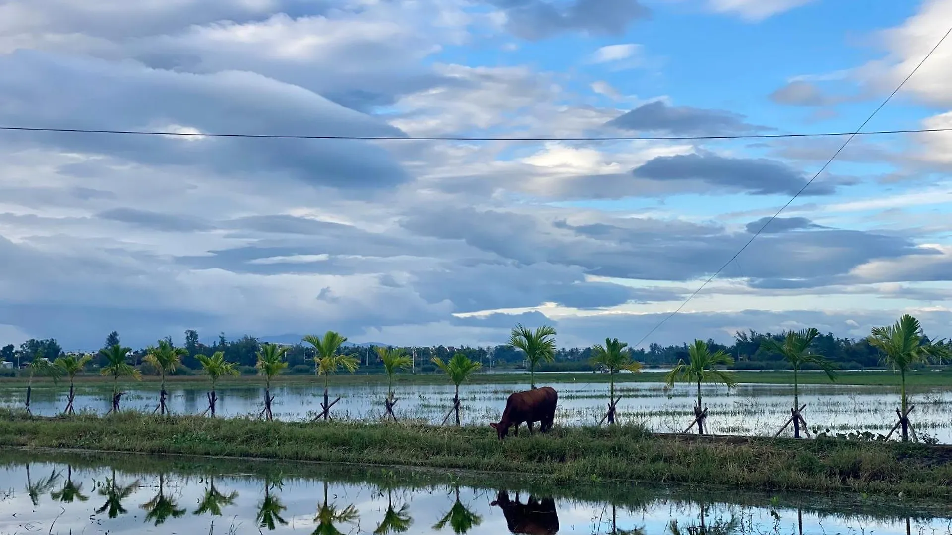 Hotell Rice River Villa - Hoi An